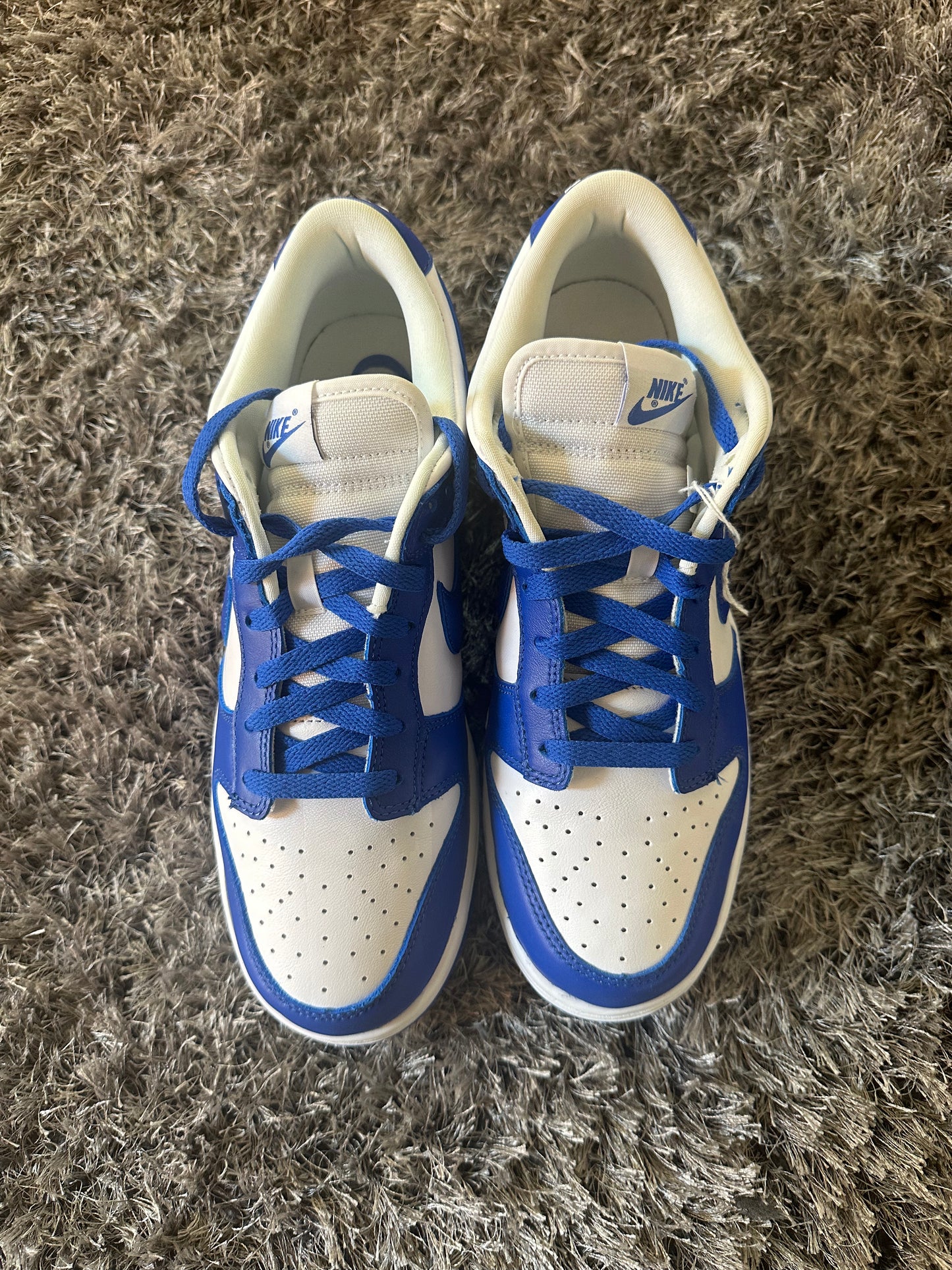 Dunk Low SP Varsity Royal Kentucky